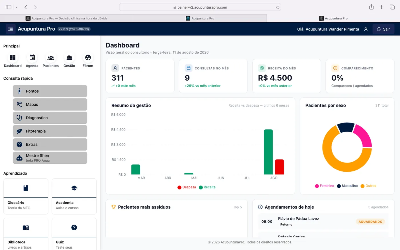 Dashboard do Acupuntura Pro no computador